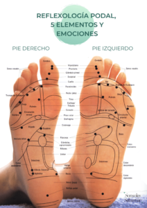 Beneficio de best sale la reflexologia